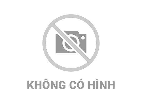 <a href="/cai-cach-hanh-chinh" title="Cải cách hành chính" rel="dofollow">Tin từ các huyện, thị xã, thành phố</a>