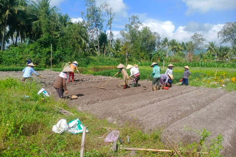 Chi hội nông dân thôn Gia An Nam, xã HCB hỗ trợ ngày công giúp hội viên nông dân có hoàn cảnh khó khăn trồng mì và trồng kiệu